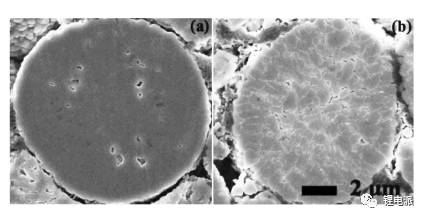 循环前后充电机充电蓄电池正极SEM图谱