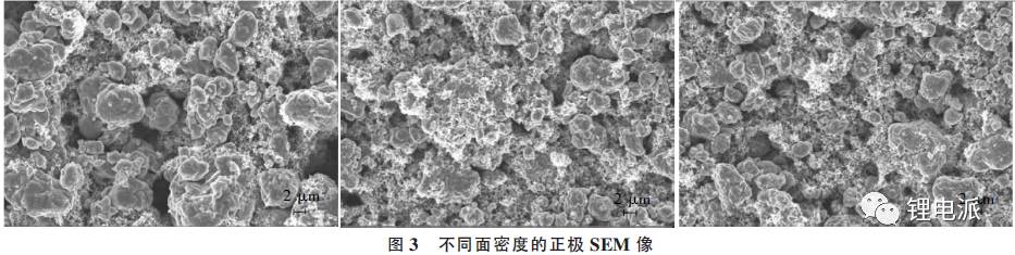不同面密度的正极SEM像 不同面密度的正极SEM像