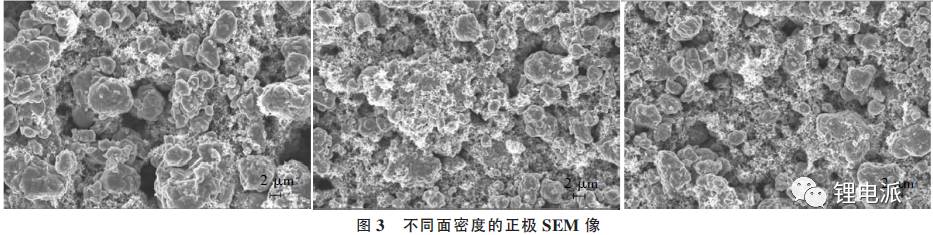 不同面密度的正极SEM像