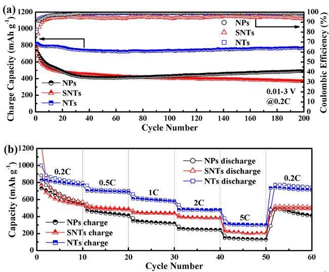 充电机充电高储锂电池性能的Cu-Sn-S自组装纳米管解决方案