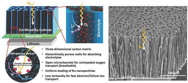 以碳化活性木头/钌为正极的充电机充电锂氧蓄电池示意图